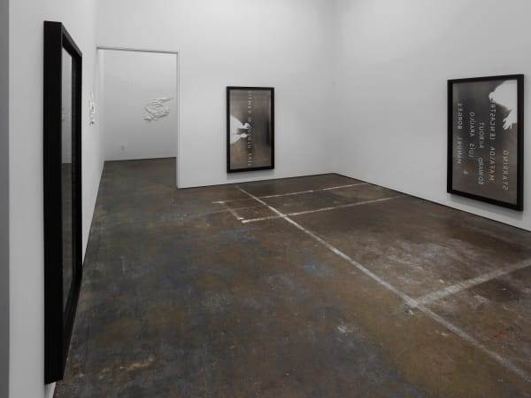 Emily Wardill It's not what it looks like, 2017 Installation view