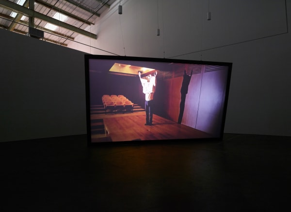 Emily Wardill It's not what it looks like, 2017 Installation view