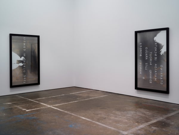 Emily Wardill It's not what it looks like, 2017 Installation view