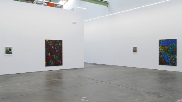 Alex Olson Crooner, 2017 Installation view