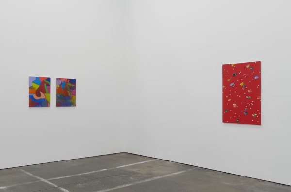 Alex Olson Crooner, 2017 Installation view