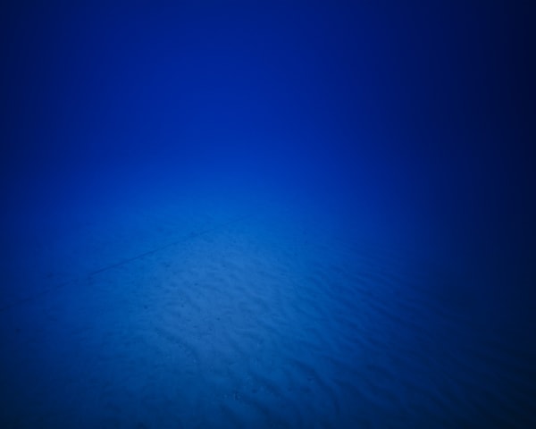 Trevor Paglen Japan-US Cable System, NSA/GCHQ - Tapped Undersea Cable, Pacific Ocean, 2016 C-Print 48 x 60 in 121.9 x 152.4 cm