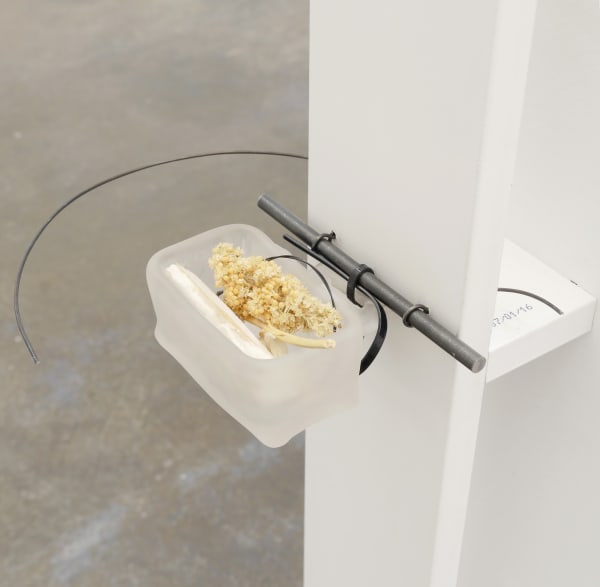 K.R.M. Mooney Carrier I (detail), 2016 Steel binding wire, glass, spray millet, cuttlebone, fluorocarbon leader, nylon, bronze, silver-plated cast Piece: 3 x 8 3/4 x 5 1/2 in 7.6 x 22.2 x 14 cm Wood Structure: 84 x 3 1/2 x 2 3/4 in 213.4 x 8.9 x 7 cm