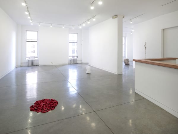 Zarouhie Abdalian An Overture, 2014 Installation view