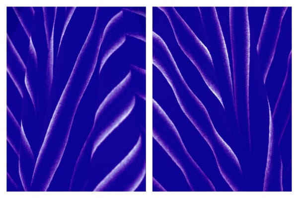 Sara VanDerBeek The Visible Universe, 2014 Digital c-prints 24 x 18 in each 61 x 45.7 cm each