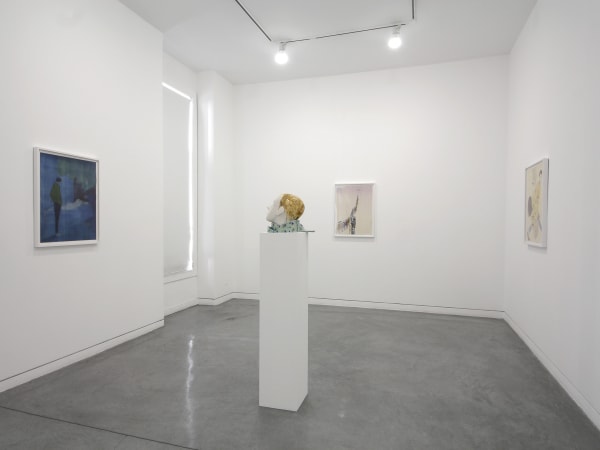 Sanya Kantarovsky Monday's Dirty Light, 2013 Installation view