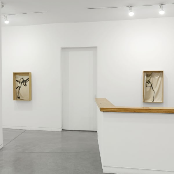 New Year's Day Swimmers, 2013 Installation view