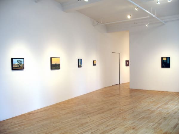 Devin Leonardi Sentimental Panorama, 2011 Installation view Broadway 1602, New York Photography by John Berens