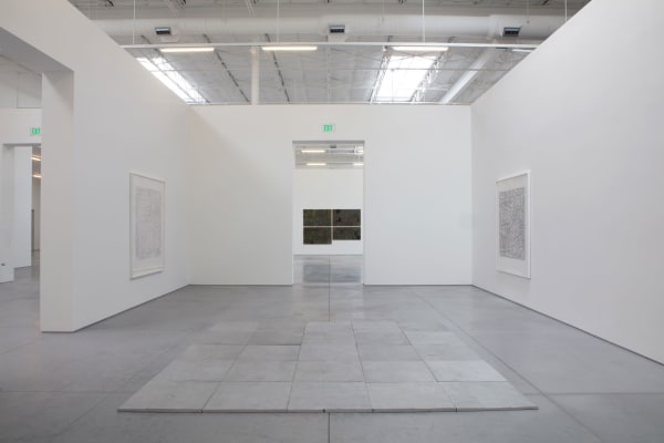 DOUBLES, DOBROS, PLIEGUES, PARES, TWINS, MITADES, 2017-18 Installation View The Warehouse, Dallas, TX