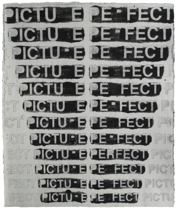 Matt Keegan Picture Perfect (Monoprint), 2010 Paper monoprint 26 1/2 x 21 in 67.31 x 53.34 cm