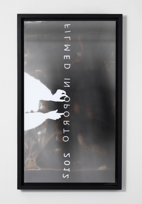 Emily Wardill Credits 8, 2013 Rayogram 66 7/8 x 37 3/4 in 170 x 96 cm