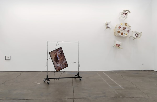 SOIL EROSION Curated by Shannon Ebner. Alexandra Bachzetsis & Julia Born, Carl Cheng, Leidy Churchman, Cameron Crone, Moyra Davey, Nicole Eisenman, Paul Elliman, Walker Evans, Lee Friedlander, Samara Golden, Peter Holzhauer, Alex Klein, Zoe Leonard, Davida Nemeroff, A