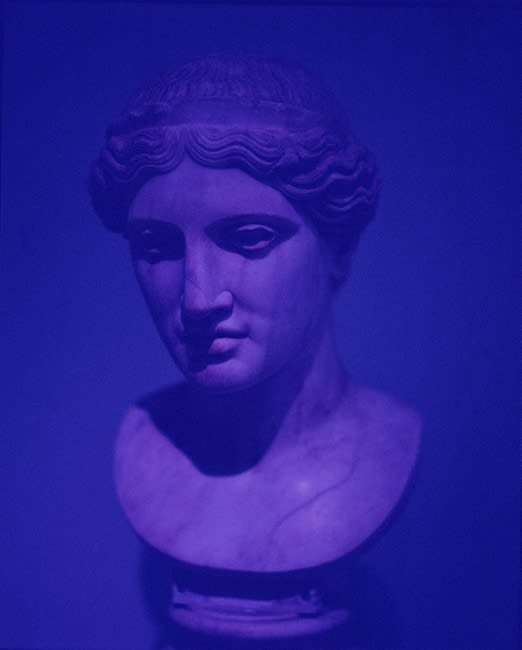 Sara VanDerBeek at the Minneapolis Institute of Art, 2019