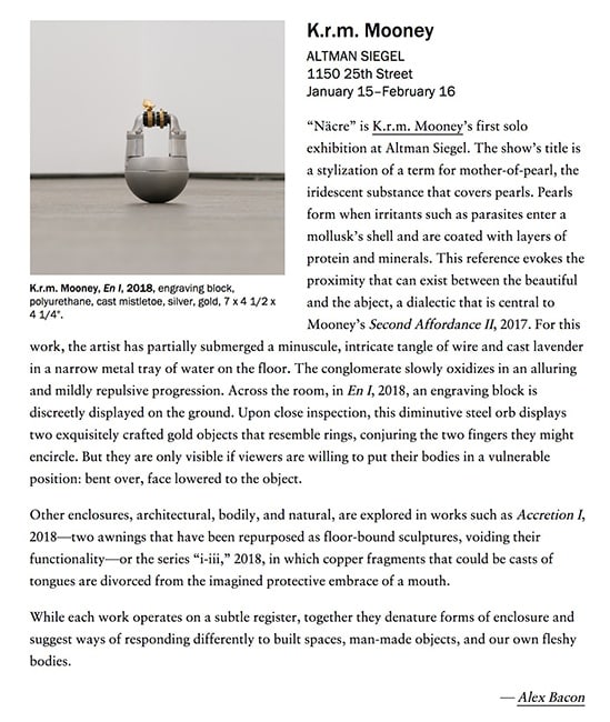 K.R.M. Mooney in Artforum, 2019
