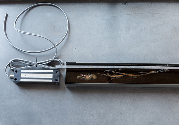 K.R.M. Mooney at Freedman Fitzpatrick, 2016