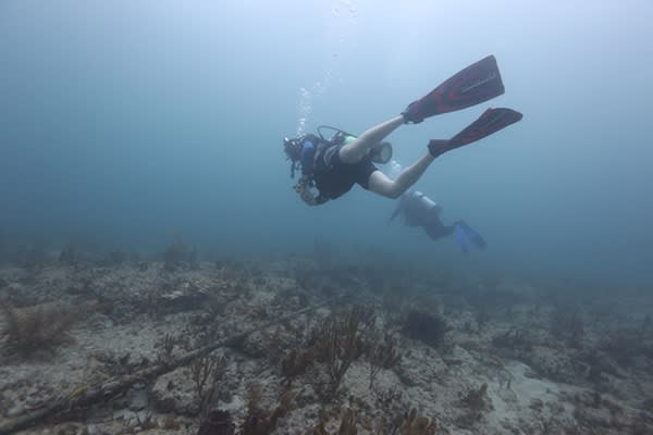 Trevor Paglen in Artnet, 2015