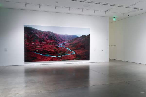Richard Mosse at BAMPFA, 2023