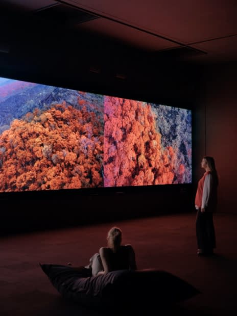 Richard Mosse at Madison Museum of Contemporary Art, 2024