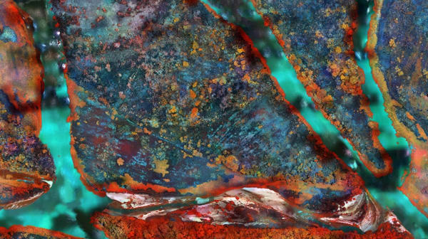 Richard Mosse in VICE, 2020