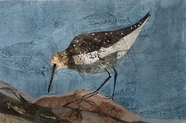 John Harmer - Yellowhammer, 2022