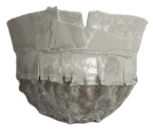 Hilary Laforce , Fragile Landscape, 2025