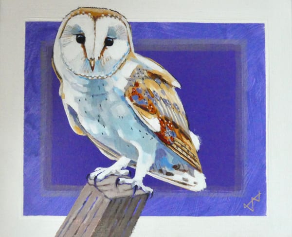 Brin Edwards, Barn Owl Study , 2022