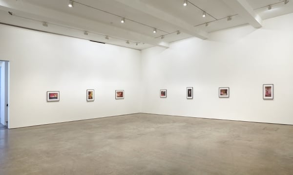 Wg Sanj Inst13 02 072