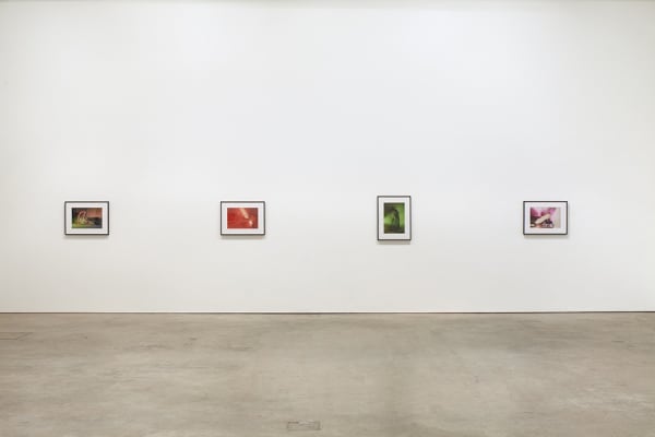 Wg Sanj Inst13 06 072