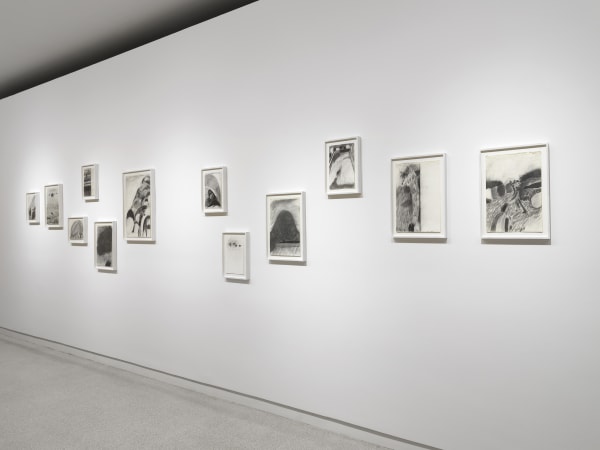 Phoebe Unwin Field 2018 0005