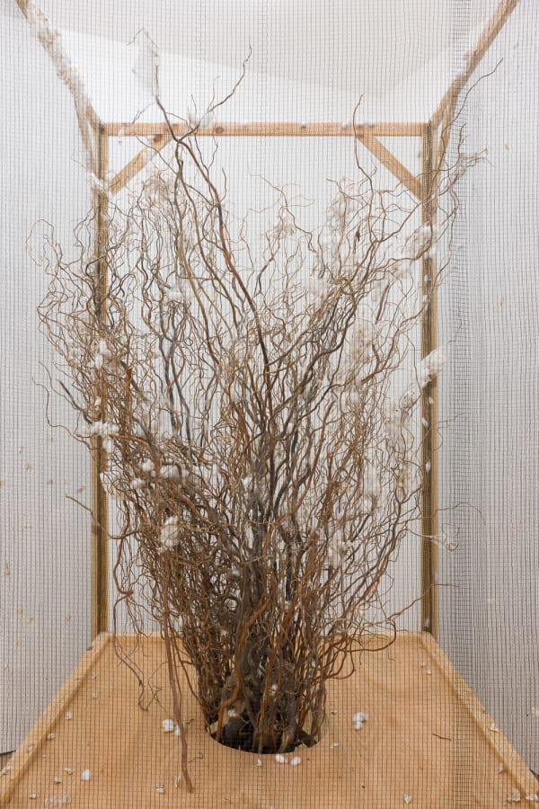 Amanda Wilkinson Annie Ratti Low Res 23