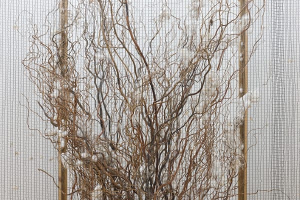 Amanda Wilkinson Annie Ratti Low Res 24