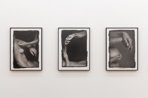 Amanda Wilkinson Ajamu X Low Res 10