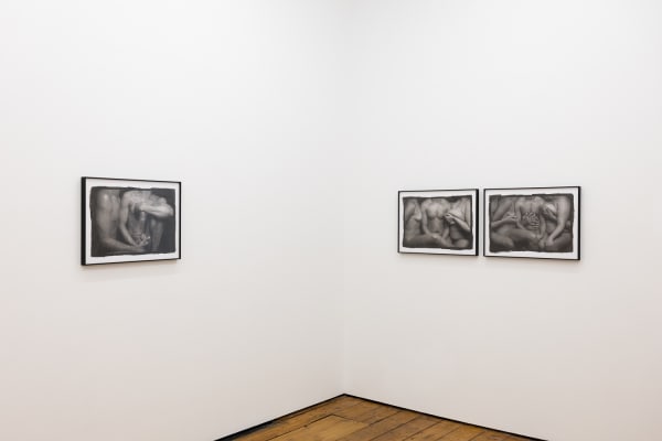 Amanda Wilkinson Ajamu X Low Res 5