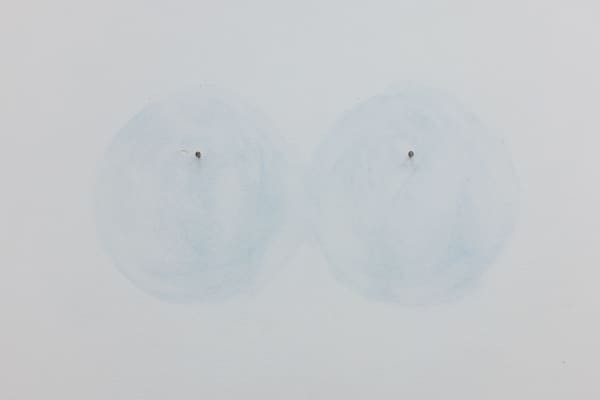 Amanda Wilkinson Biogal Low Res 45