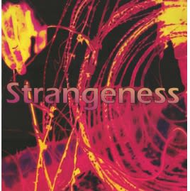 Catalogue of a group show titled Strangeness curated by Ranjit Hoskote