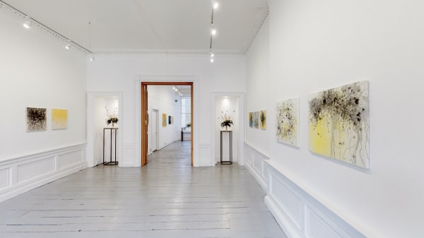 Art Gallery Jana Emburey