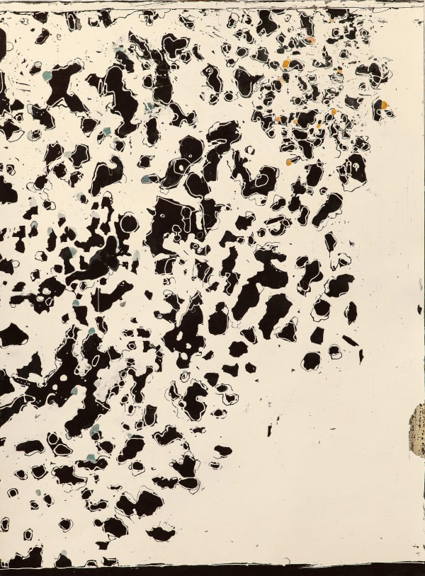 Solo exhibition Liz Douglas