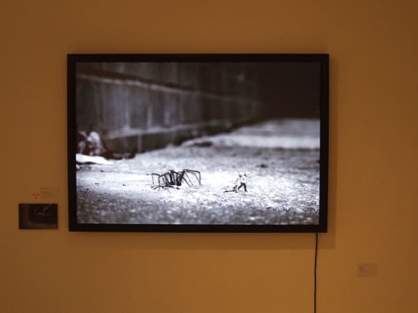 Slinkachu print hanging in exhibition at andipa gallery.