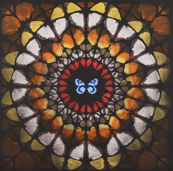 Damien Hirst Sanctum 6