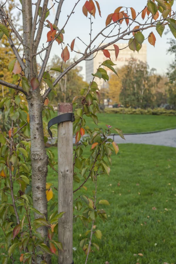 Slinkachu Turning Of The Seasons context shot