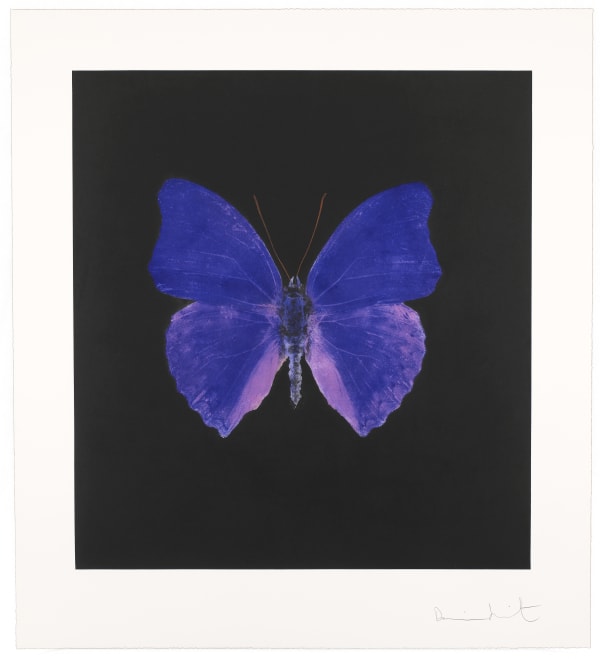 Damien Hirst Butterfly