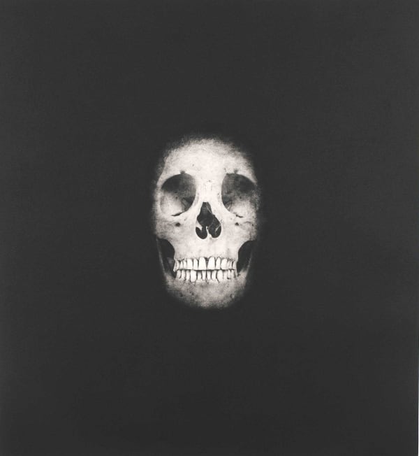 Damien Hirst Memento print for sale