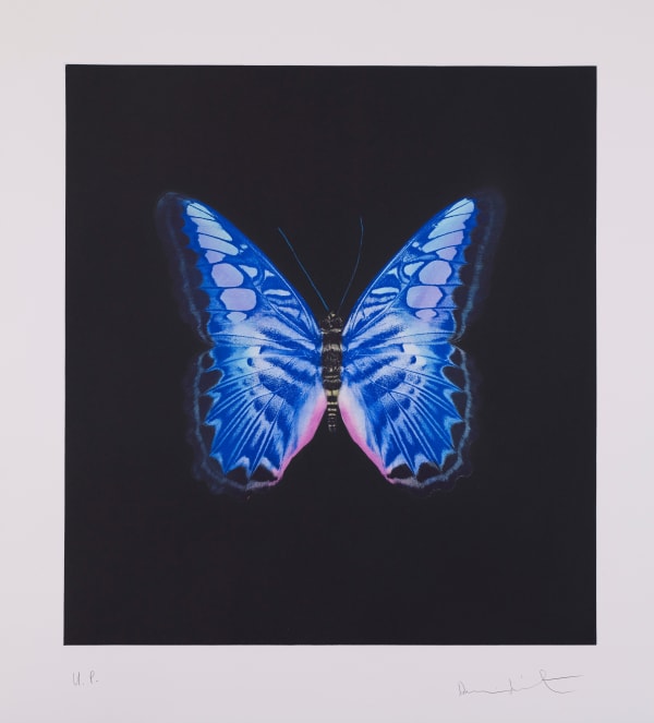 DAMIEN HIRST | paintings. drawings. prints. Andipa, London