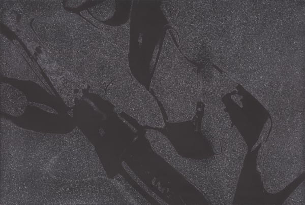 andy wahrol shoes deluxe edition fs 250