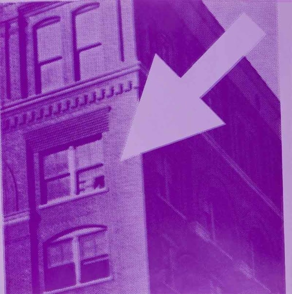 Andy Warhol Flash for Sale