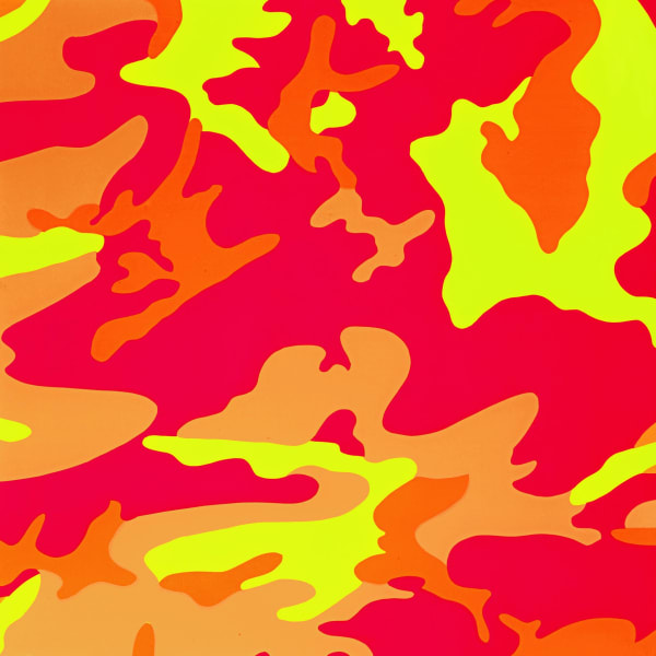 Camouflage , F & S. II 409