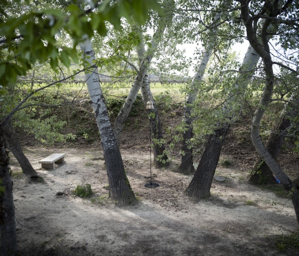 Sabine Mirlesse Par quatre chemins at Château La Coste, Aix-en-Provence, 2025