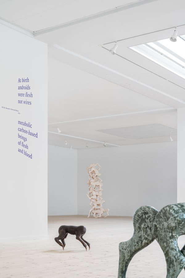 Sally von Rosen Installation view, Rhizome – Network Without Center Point, Kunsthal Aarhus, Aarhus, Denmark, 2024