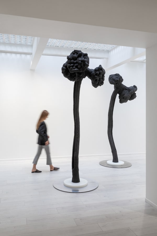 Siobhán Hapaska Installation view, Andréhn-Schiptjenko Paris, 2023