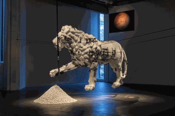 Siobhán Hapaska Installation view, Medici Lion, Hyde Douglas Gallery, 2023.